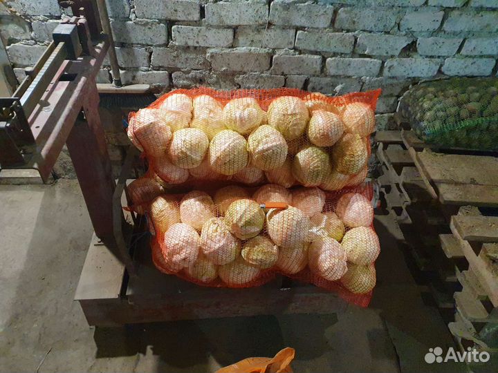 Морковь, картофель на корм животным