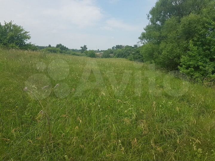 Участок 50 сот. (ИЖС)