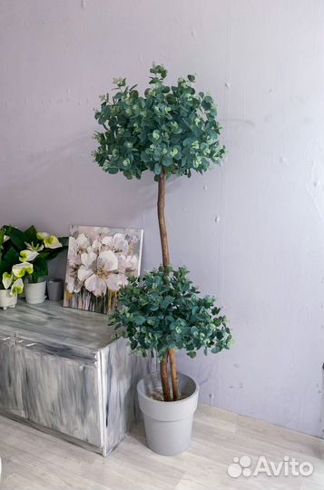 Искусственное дерево эвкалипт