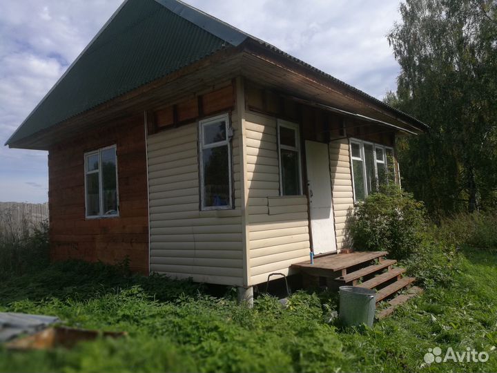 Пчелы пасека