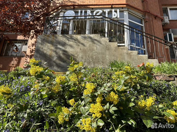 Цветочная студия под ключ