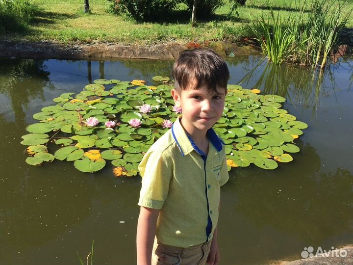 Рубашка для мальчика 122-128