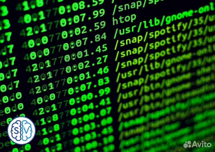 Обучение Linux. Работа в командной строке Bash