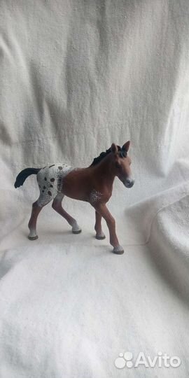 Жеребята Schleigh