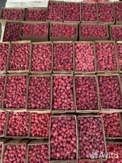 Малина свежая