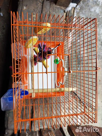 Клетка для попугая