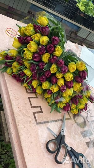 Пионовидные тюльпаны оптом к 8 марта