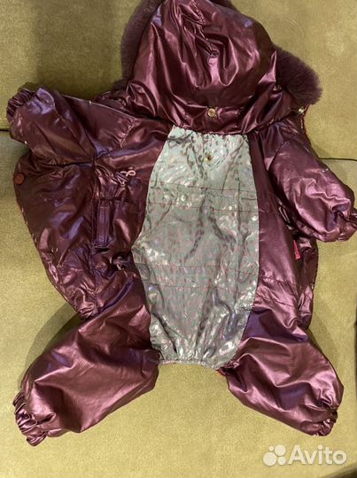 Одежда для собак