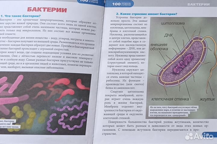 Энциклопедия