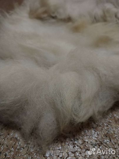 Шкурка животного