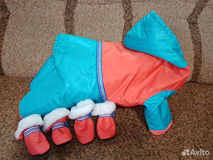 Комбинезон для маленькой собачки