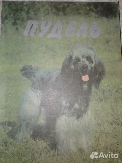 Книга про породу Пудель