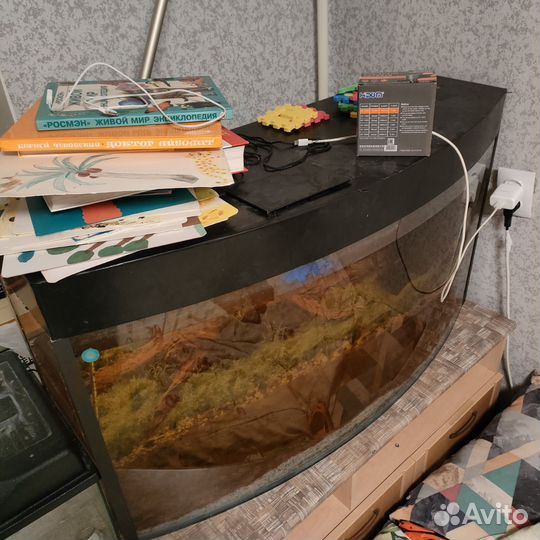 Аквариум