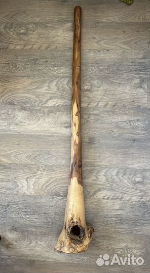 Диджериду эвкалипт