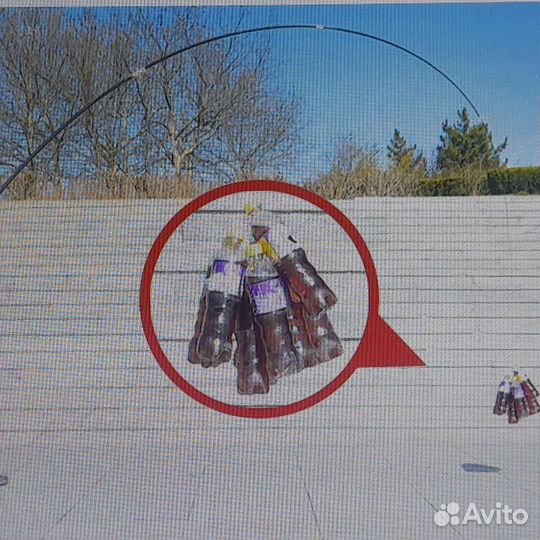 Удочка херабуна