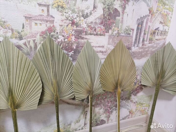 Пальмовые листья. Пики, копья листьев