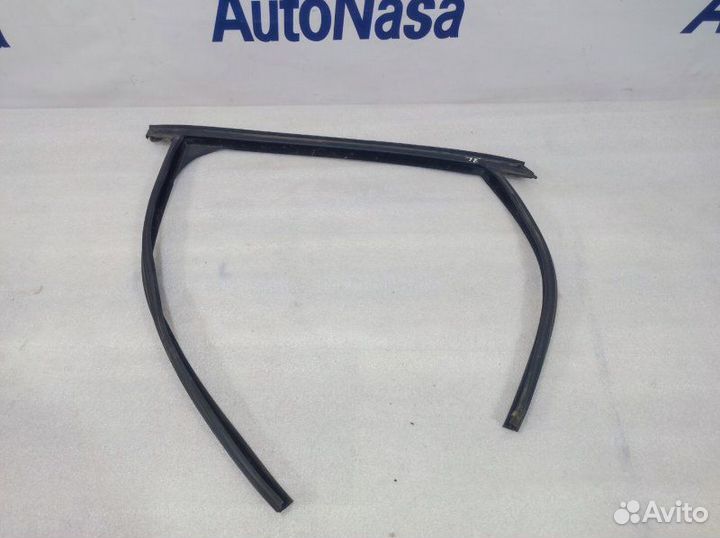 Уплотнитель стекла двери задний левый Ford Focus 2