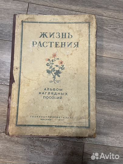 Альбом наглядное пособие