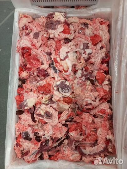 Мясо собакам