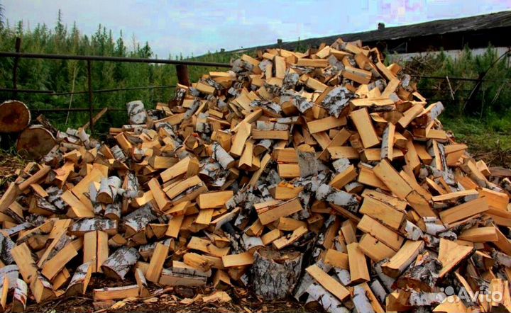 Подсушенные дрова