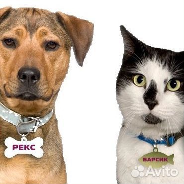 Адресник для кошек и собак