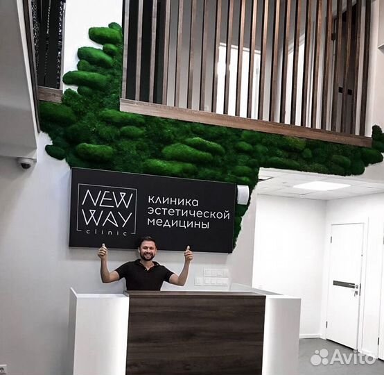 Озеленение пластовым мхом