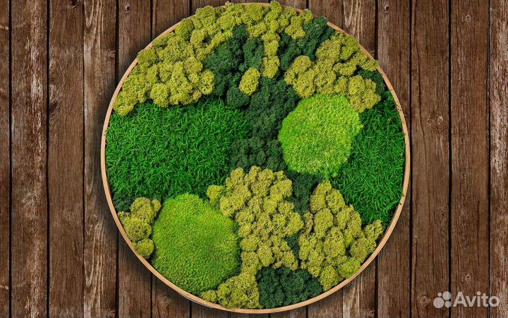 Пластовой стабилизированный мох