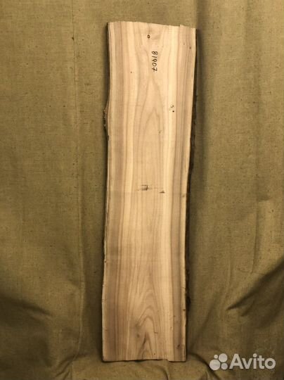 Слэб карагача