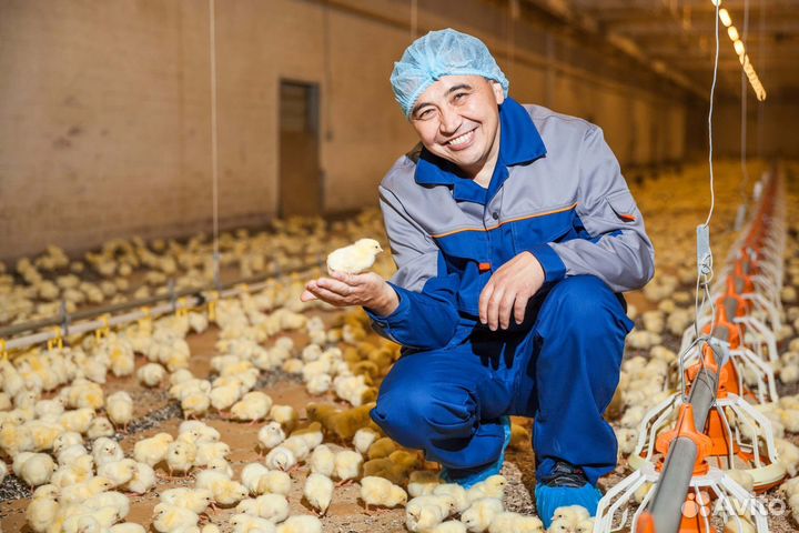 Рабочие на Птицефабрику / Вахта Проживание Питание