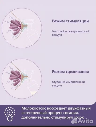 Электрический молокосос avent