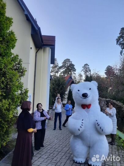 Пародия шоу звезд, белый мишка поздравление