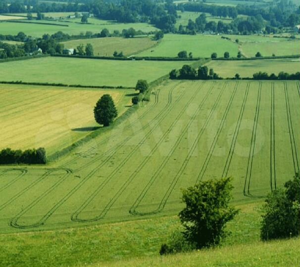 Участок 5,13 га (СНТ, ДНП)