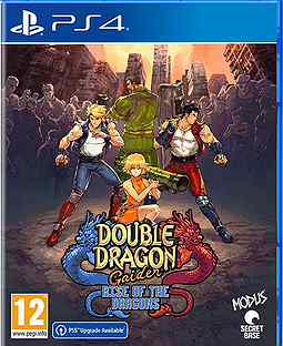 Double Dragon Gaiden: Rise of the Dragons PS4, анг