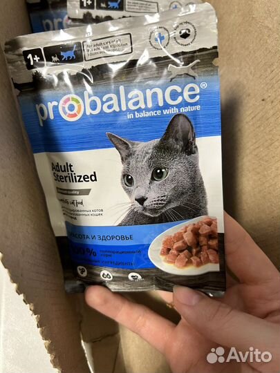Влажный корм для кошек probalance