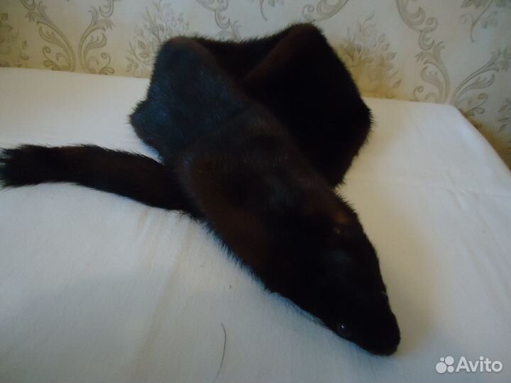 Норковая горжетка