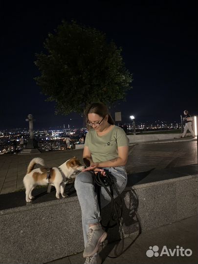 Кинолог, дрессировка