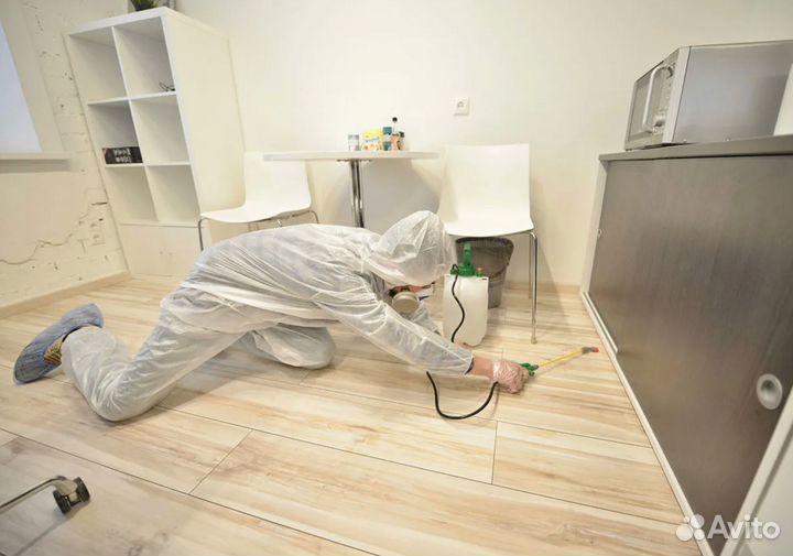 Травля тараканов, клопов, блох, мышей, крыс