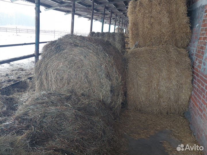 Сено в рулонах