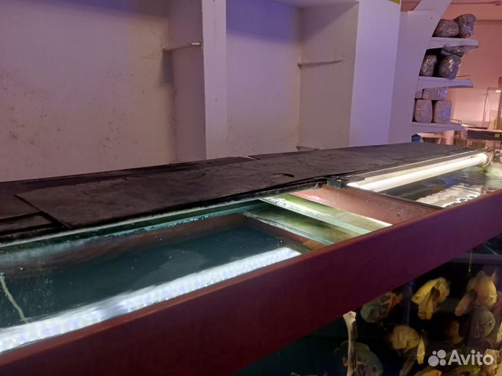 Аквариум с тумбой 1000