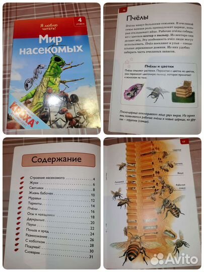 Детские книги, познавательные, с картинками