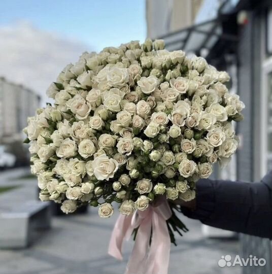 Роза кустовая