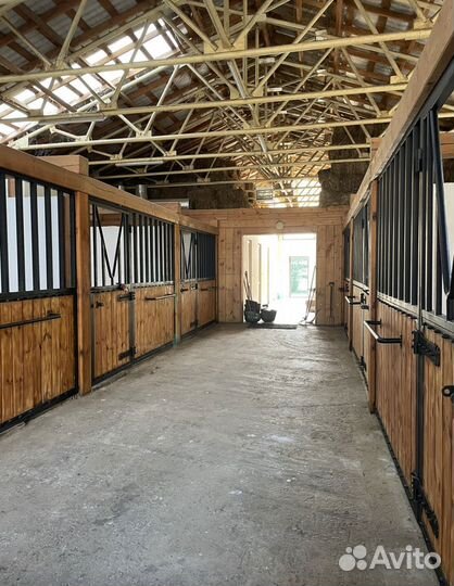 Постой лошадей