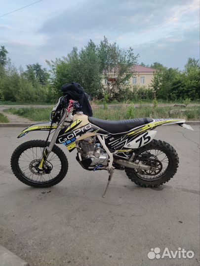 Avantis fx lux 250 pr 250