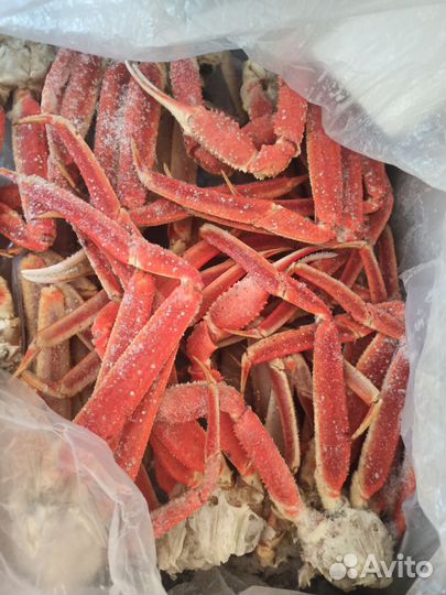 Краб Стригун опт/розница