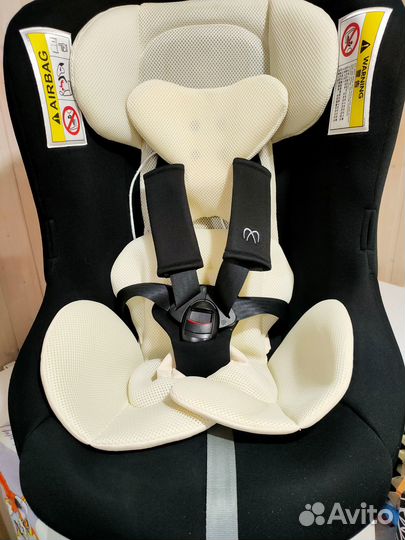 Ailebebe carmate kurutto nt2