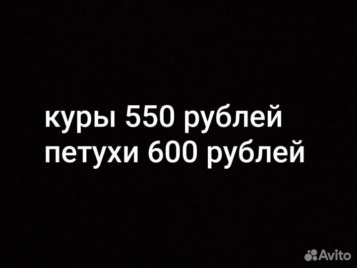 Куры и Петухи