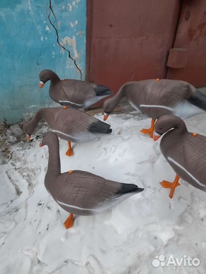 Гусь для охоты чучела