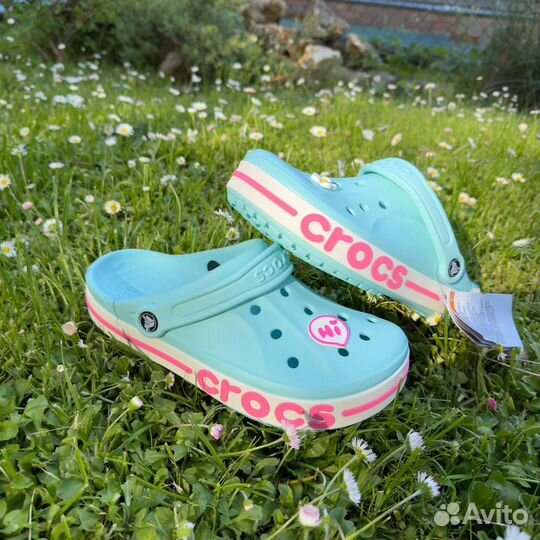 Шлепки сабо Crocs все женские размеры с подарком