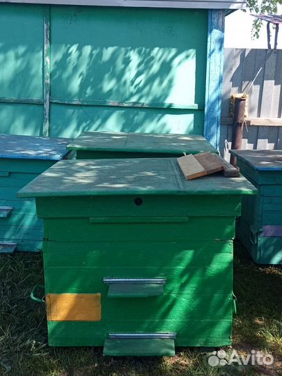 Пчелиные ульи