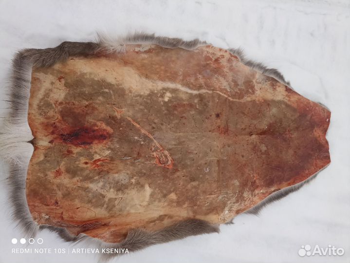 Шкуры оленя сушёные